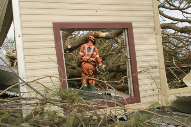 Best Root Management and Removal  in New Bedford, PA